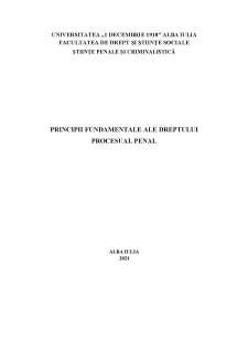 Principii fundamentale ale dreptului procesual penal - Pagina 1