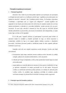 Principii fundamentale ale dreptului procesual penal - Pagina 4