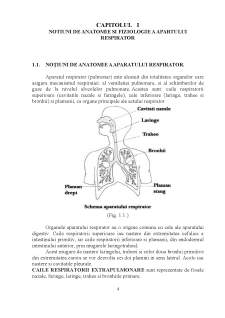 Rolul asistentului medical de radiologie - Pagina 4