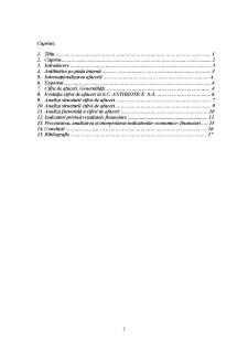 Analiza cifrei de afaceri în cadrul companiei SC Antibiotice SA - Pagina 2