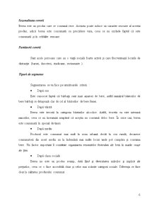 Proiect managementul calității - berea - Pagina 5