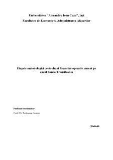 Etapele metodologiei controlului financiar operativ curent pe cazul Banca Transilvania - Pagina 1