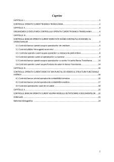 Etapele metodologiei controlului financiar operativ curent pe cazul Banca Transilvania - Pagina 2