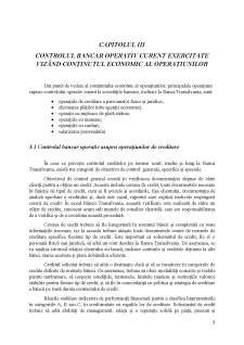 Etapele metodologiei controlului financiar operativ curent pe cazul Banca Transilvania - Pagina 5