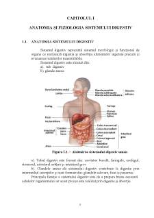 Boala inflamatorie - Pagina 3