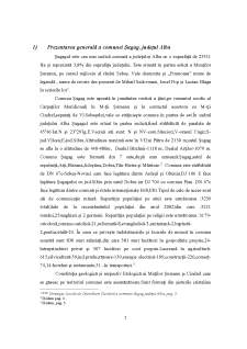 Administrația Publică Locală, în cazul Primăriei Comunei Șugag, Județul Alba - Pagina 2