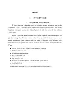 Analiză diagnostic în scop de dezvoltare a întreprinderii Tușnad SA - Pagina 2