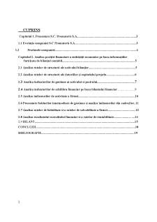 Analiza economica-financiară a companiei SC Promateris SA - Pagina 2