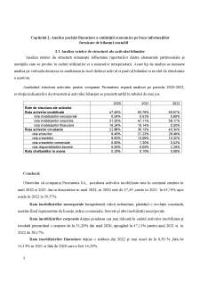 Analiza economica-financiară a companiei SC Promateris SA - Pagina 5