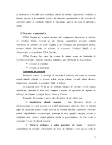 Monografie gestiune financiară - SCDA Secuieni-Neamț - Pagina 4