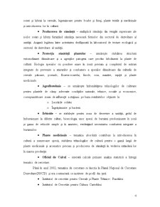Monografie gestiune financiară - SCDA Secuieni-Neamț - Pagina 5