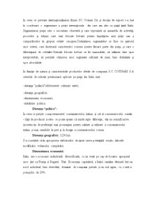 SC Cotnari SA - internaționalizarea firmei - Pagina 2