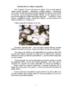 Creșterea Ciupercilor Comestibile - Pagina 4