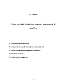 Etapele procesului decizional de cumpărare a expresorului de cafea Ufesa - Pagina 2