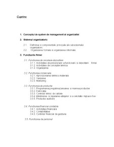 Sistemul organizatoric și funcțiunile firmei - Pagina 2