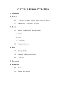 Studiu de Caz - Cuptorul de Gaz Evolution - Pagina 1