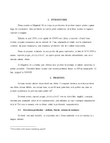 Studiu de Caz - Cuptorul de Gaz Evolution - Pagina 2
