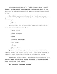 Studiu de Caz - Cuptorul de Gaz Evolution - Pagina 5