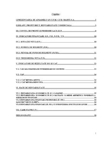 Analiza economico-financiară a întreprinderi CFR Marfă SA - Pagina 1