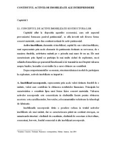 Continutul Activelor Imobilizate ale Intreprinderii - SC Medas Impex SRL - Pagina 1