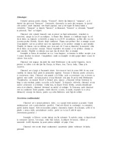 Chimen, Oregano, Dafin - Pagina 4