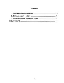 Sisteme Expert - Origini și Caracteristici - Pagina 1