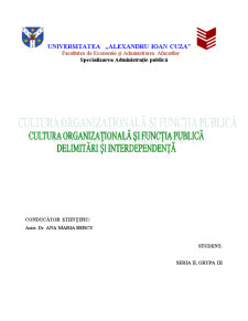 Cultura organizațională și funcția publică - delimitări și interdependență - Pagina 1