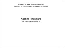 Analiza financiară - lucrare aplicativă 5 - Pagina 1