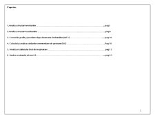 Analiza financiară - lucrare aplicativă 5 - Pagina 2