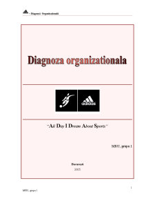 Diagnoză organizațională - Adidas - Pagina 1