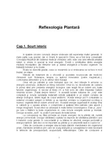 Reflexologie plantară - Pagina 1