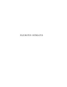 Contributii la Studiul Farmacognostic al Speciei Pleurotus Ostreatus - Pagina 5