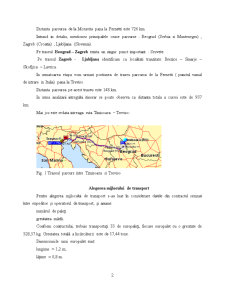 Desfășurarea unui transport de marfă pe ruta Timișoara-Treviso - Pagina 2