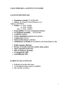 Plan de Afaceri - SC Aldis SRL - Pagina 1