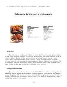 Produse de panificație - croissant - Pagina 5