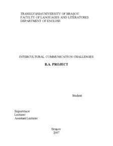 Intercultural Communication Challenges - Pagina 2