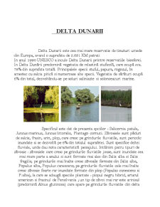 Delta Dunării - Pagina 1
