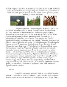Delta Dunării - Pagina 2