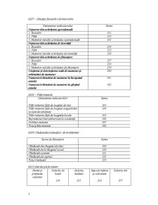 Studiu de Caz - Analiza Informational-Decizionala pentru Departamentul Contabilitate în Cadrul SC Seroussi SRL - Pagina 5