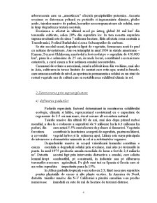 Agrotehnică antierozională - mecanismul eroziunii hidrice - Pagina 4