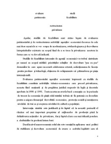 Studiu de Fezabilitate la Ecodinamic SA - Pagina 4