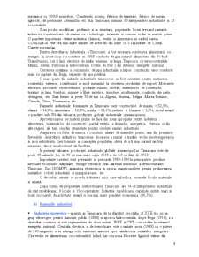 Structura funcțională a municipiului Timișoara - studiu de geografie umană - Pagina 4