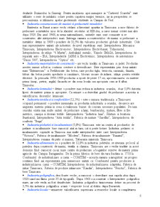 Structura funcțională a municipiului Timișoara - studiu de geografie umană - Pagina 5