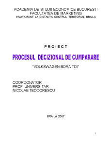 Procesul decizional de cumpărare - Volkswagen Bora TDI - Pagina 1