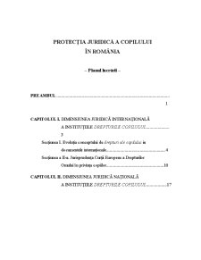 Protecția Juridică a Copilului în România - Pagina 2
