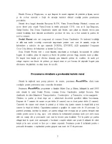 Prezentarea unui Produs Turistic Rural - Pensiunea Anca&Alin - Dealul Floreni - Pagina 3