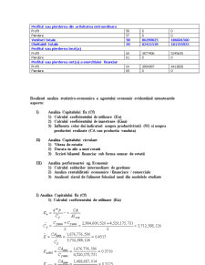 Analiza economico-financiară a societății SC Electromagnetica SA București - Pagina 4