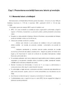 Monografie Banca Romana pentru Dezvoltare - Pagina 2