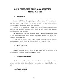 Studiu de caz - SC Relaxa SA Mizil - Pagina 5