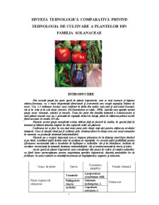 Sinteză Tehnologică Comparativă privind Tehnologia de Cultivare a Plantelor din Familia Solanaceae - Pagina 1